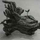 天空的城同志的个人资料头像