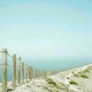 静水流深爱学习67882的个人资料头像