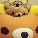 akang的个人资料头像