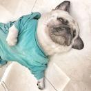 Bingren67923的个人资料头像