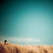 ZouTrankil的个人资料头像