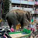 Facency的个人资料头像