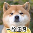 Zly的个人资料头像
