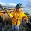 amigosea的个人资料头像