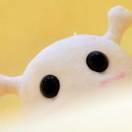 千寻本尊的个人资料头像