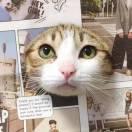 侯本尊68402的个人资料头像