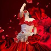 nkdkjdw的个人资料头像