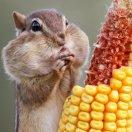 温的个人资料头像