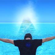 anlexN的个人资料头像