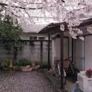 牵牛就是我的个人资料头像