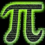 Dukewei的个人资料头像