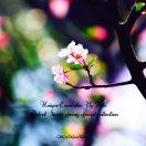 Ubuntu_LTS的个人资料头像