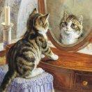 就是我68500的个人资料头像