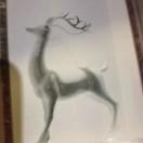 hap0151的个人资料头像