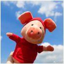 就是我68536的个人资料头像