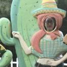 毒药的个人资料头像