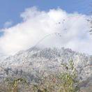 咖啡机的个人资料头像