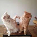 杨浩然的个人资料头像