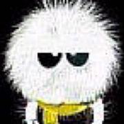 丶叶的个人资料头像