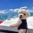 白云外重名了的个人资料头像