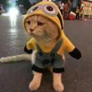 酱68641的个人资料头像