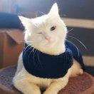 return0本尊68648的个人资料头像