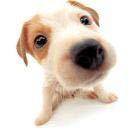 以梦为马z的个人资料头像