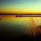 flight68779的个人资料头像