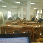 再bb呀的个人资料头像