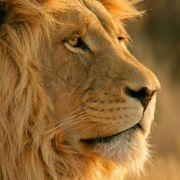 AlerxAugust的个人资料头像