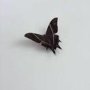 藟Y的个人资料头像