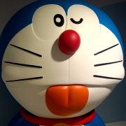 咕噜娃er的个人资料头像