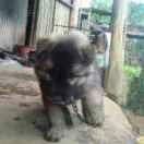 十指爱学习的个人资料头像