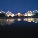 王震的个人资料头像