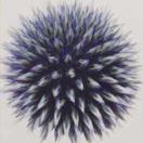 小吉祥的个人资料头像