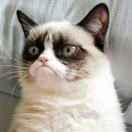 馒头同志69047的个人资料头像