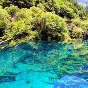 mrzsping就是我的个人资料头像