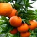 哈喽weaoacyi667788的个人资料头像