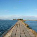 dc爱学习69084的个人资料头像