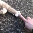 Zaza的个人资料头像