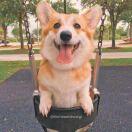 fafaaaaa的个人资料头像