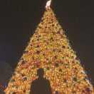 惊蛰的个人资料头像