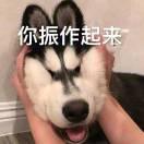 Q重名了69183的个人资料头像
