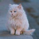 021的个人资料头像