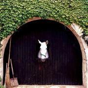 Jeremygarden的个人资料头像