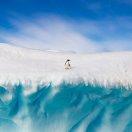 Doyle不想说话的个人资料头像