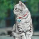 ImFan的个人资料头像