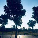 liulang同学的个人资料头像