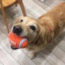 hey在掘金的个人资料头像