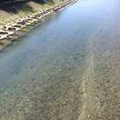 Russel的个人资料头像